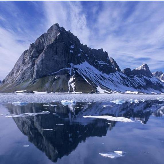 盛鑫念科技有限公司经营号