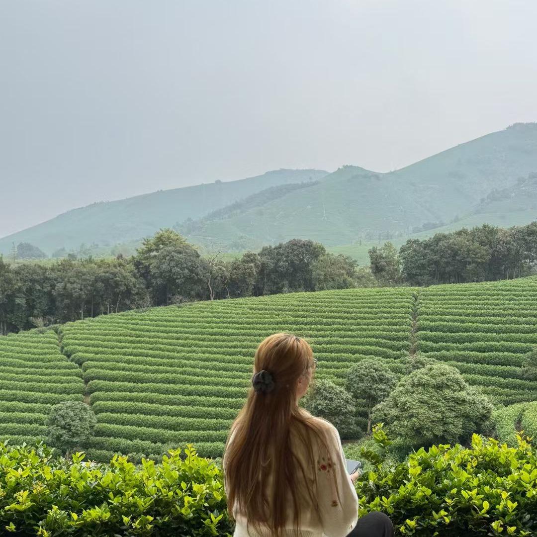 安吉归遇·怡晨谷野奢美墅官方号