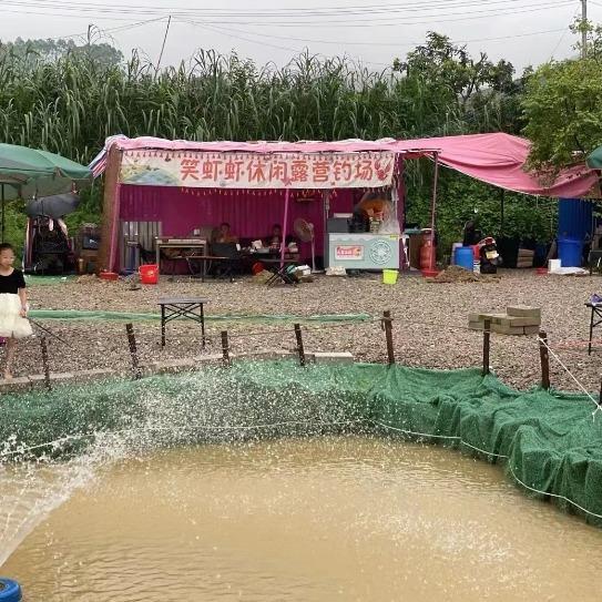 笑虾虾休闲露营垂钓场（雯雯）