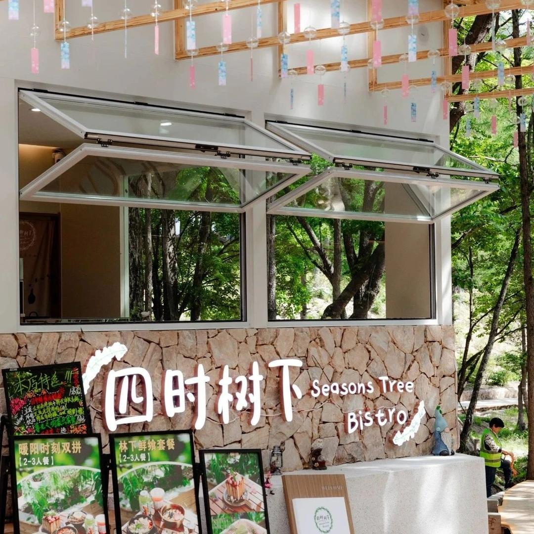 洛阳白云山四时树下餐厅