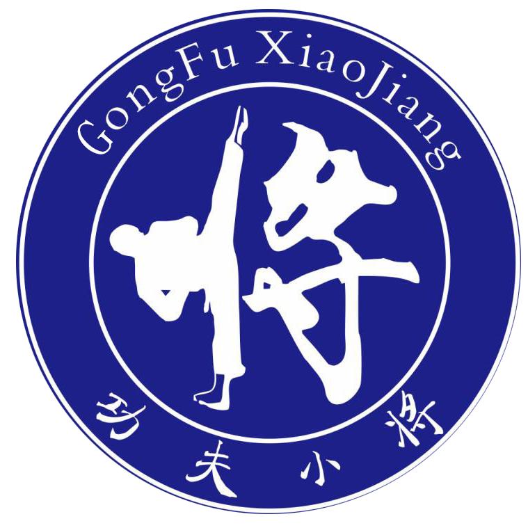 江津功夫小将散打搏击