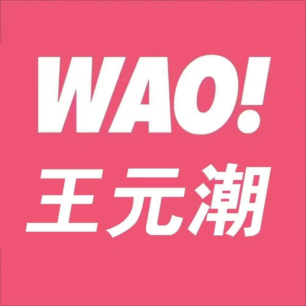 WAO娃娃·王元潮(宁县店)
