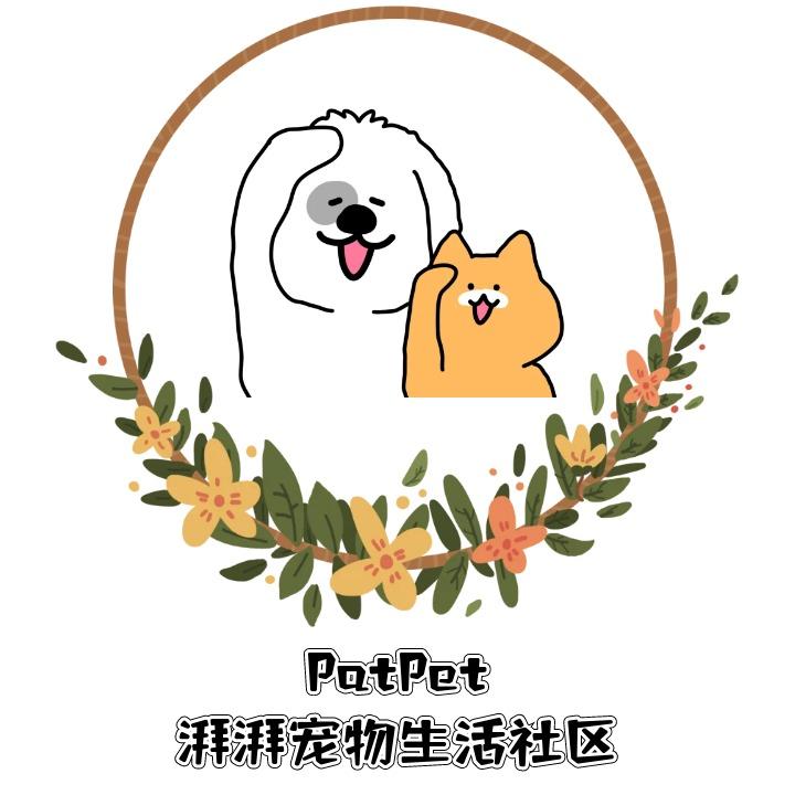 PatPet湃湃宠物生活社区