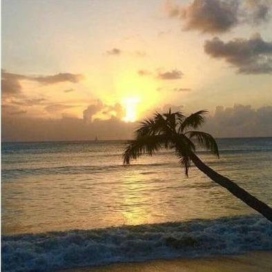 便利蜂得运营号