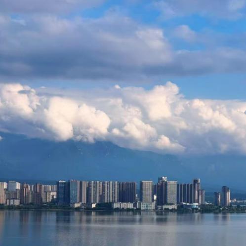 节律生物囸直播号