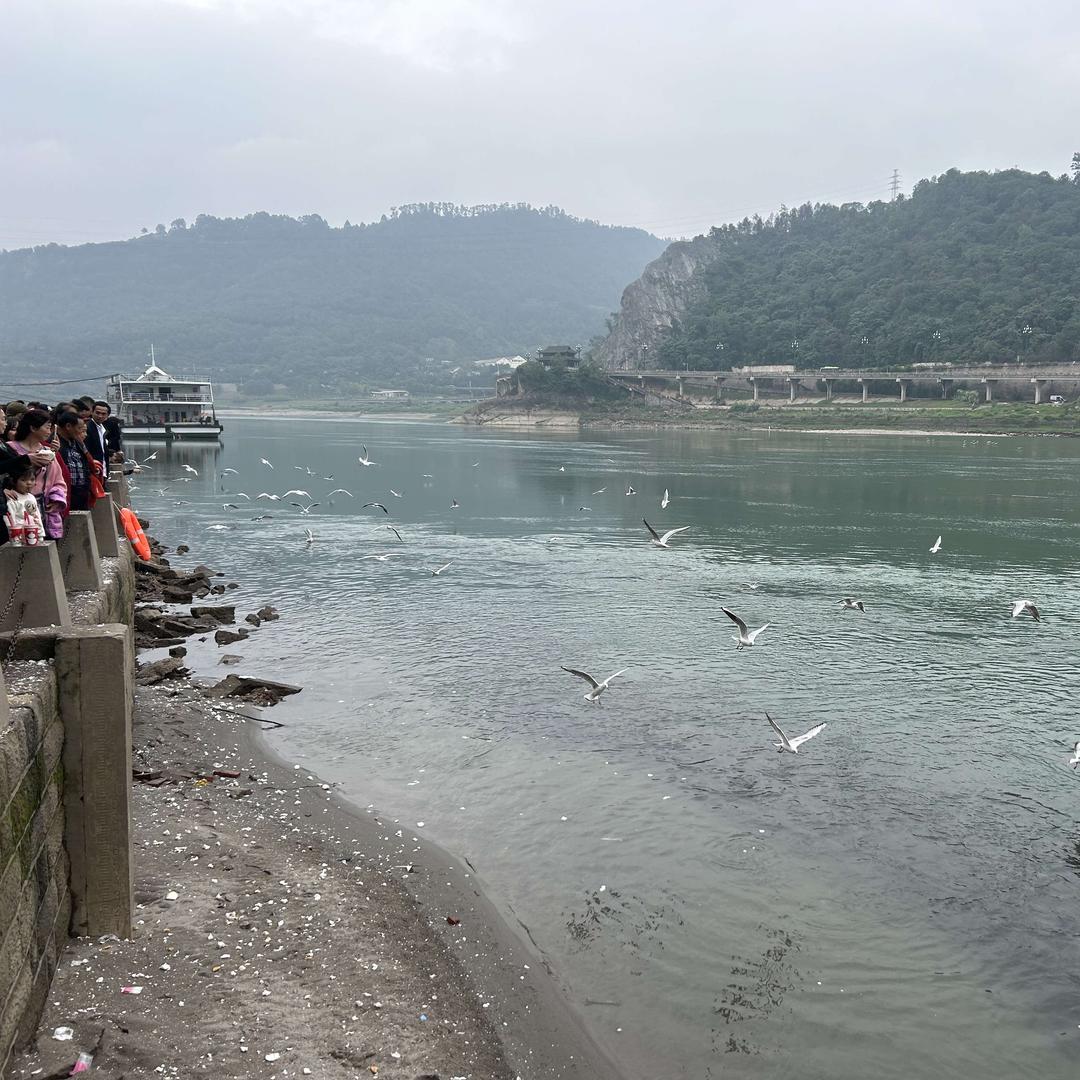 宜宾阿奎门窗团队