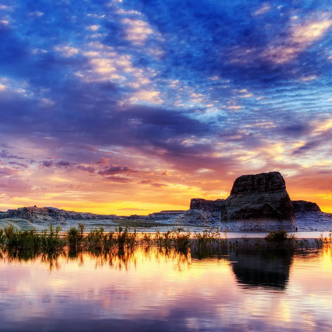 成都坤铭祖商贸直播号