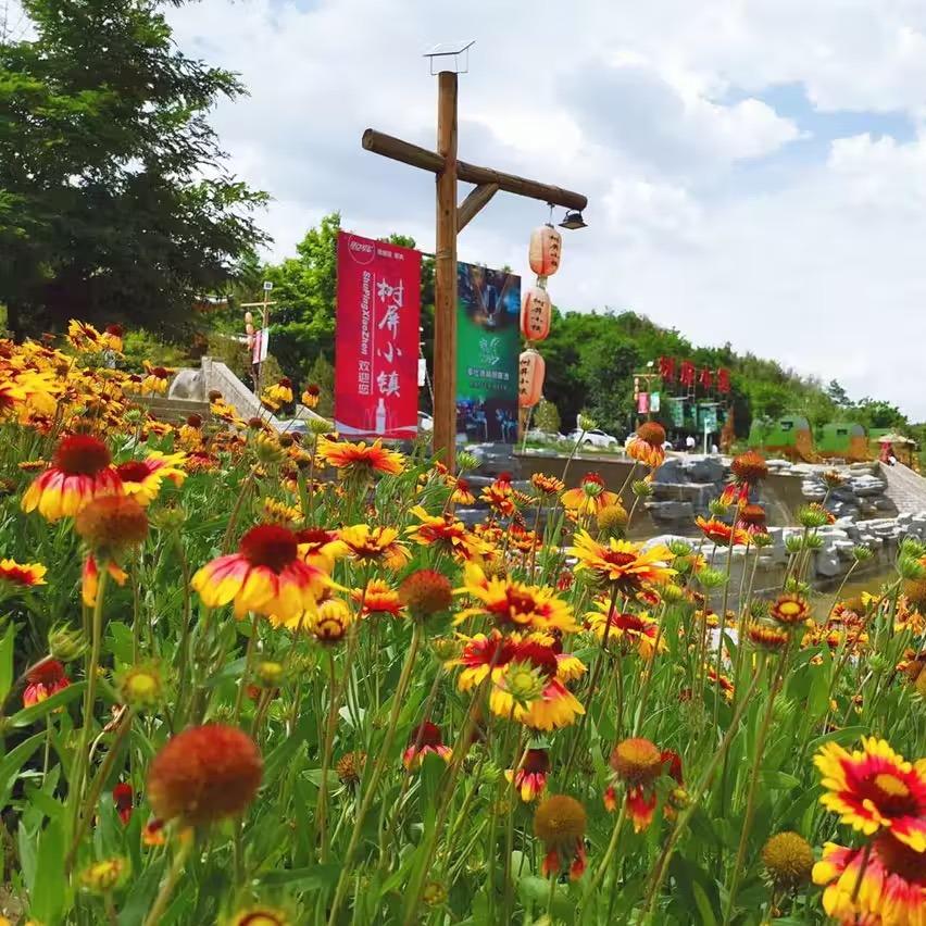 ♥树屏小镇♥露营地