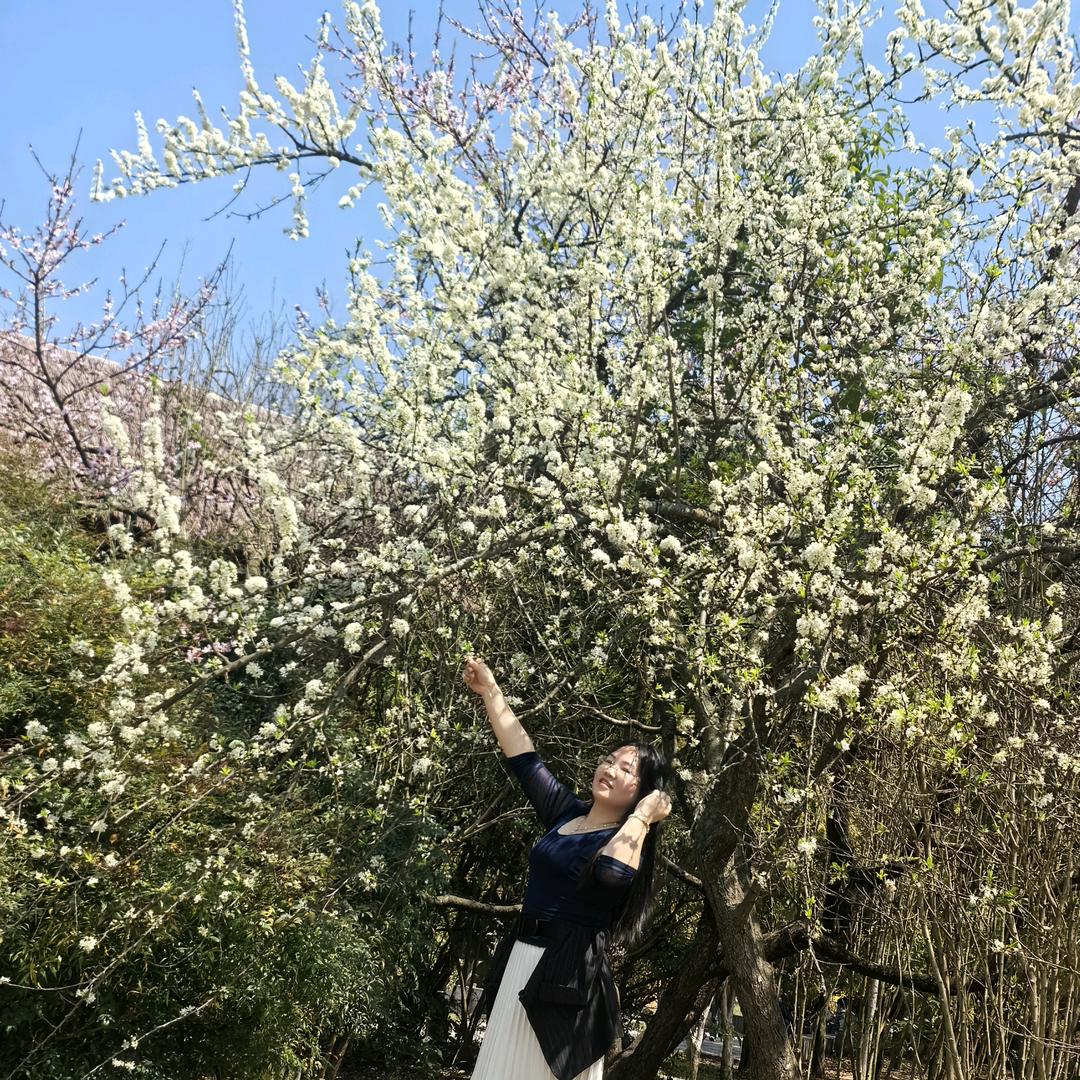 布居艺阁窗帘遵义店