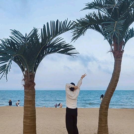 乔大白去旅行（近海民宿）