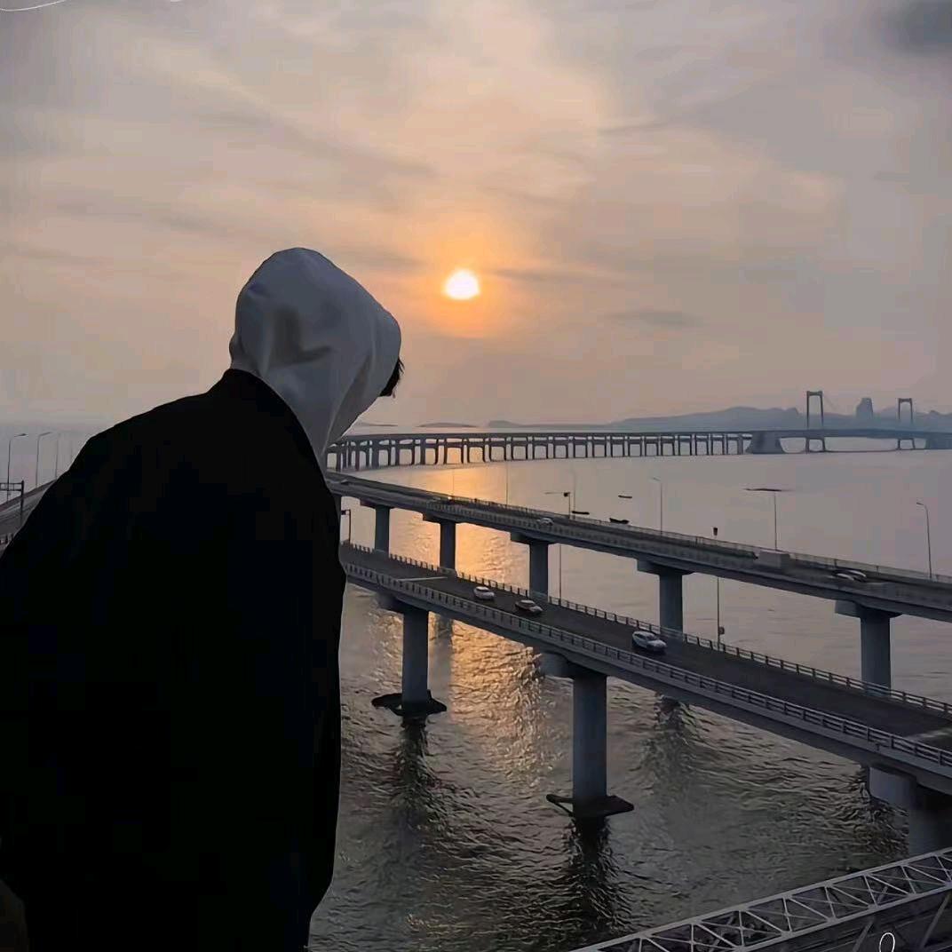友半 曲宠粉