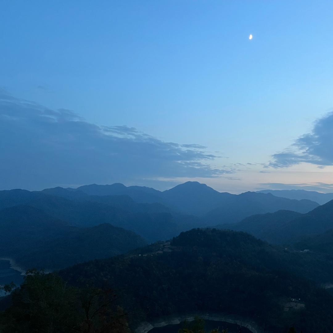 映雅直播号