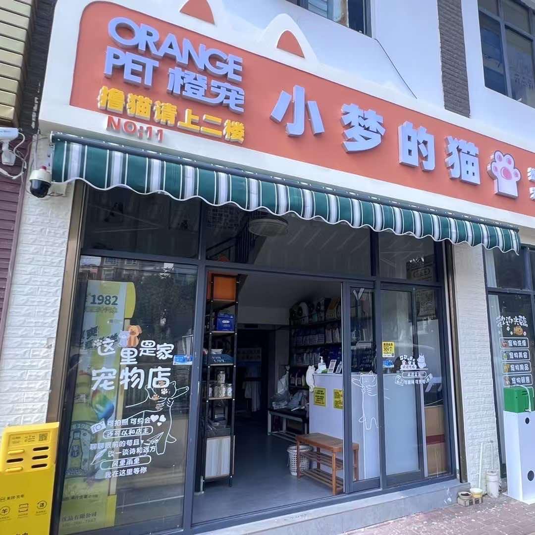 小梦的猫
