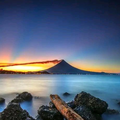 火麒麟盔甲直播号