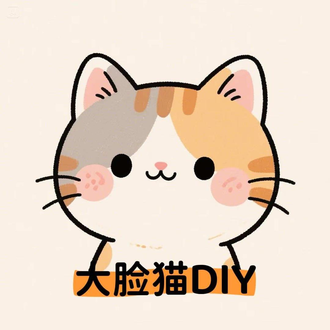 北京大脸猫DIY