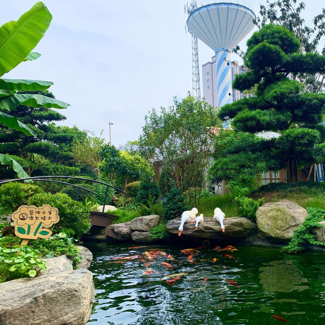 长沙花之园。长沙公司团建 ｜生日聚会