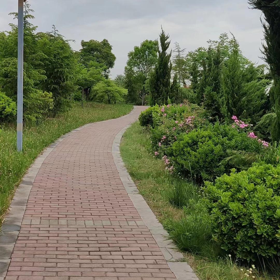 新安新城速成电脑城惠普店