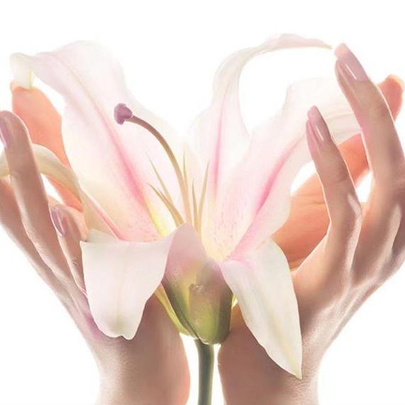 乌鲁木齐凤凰福利号