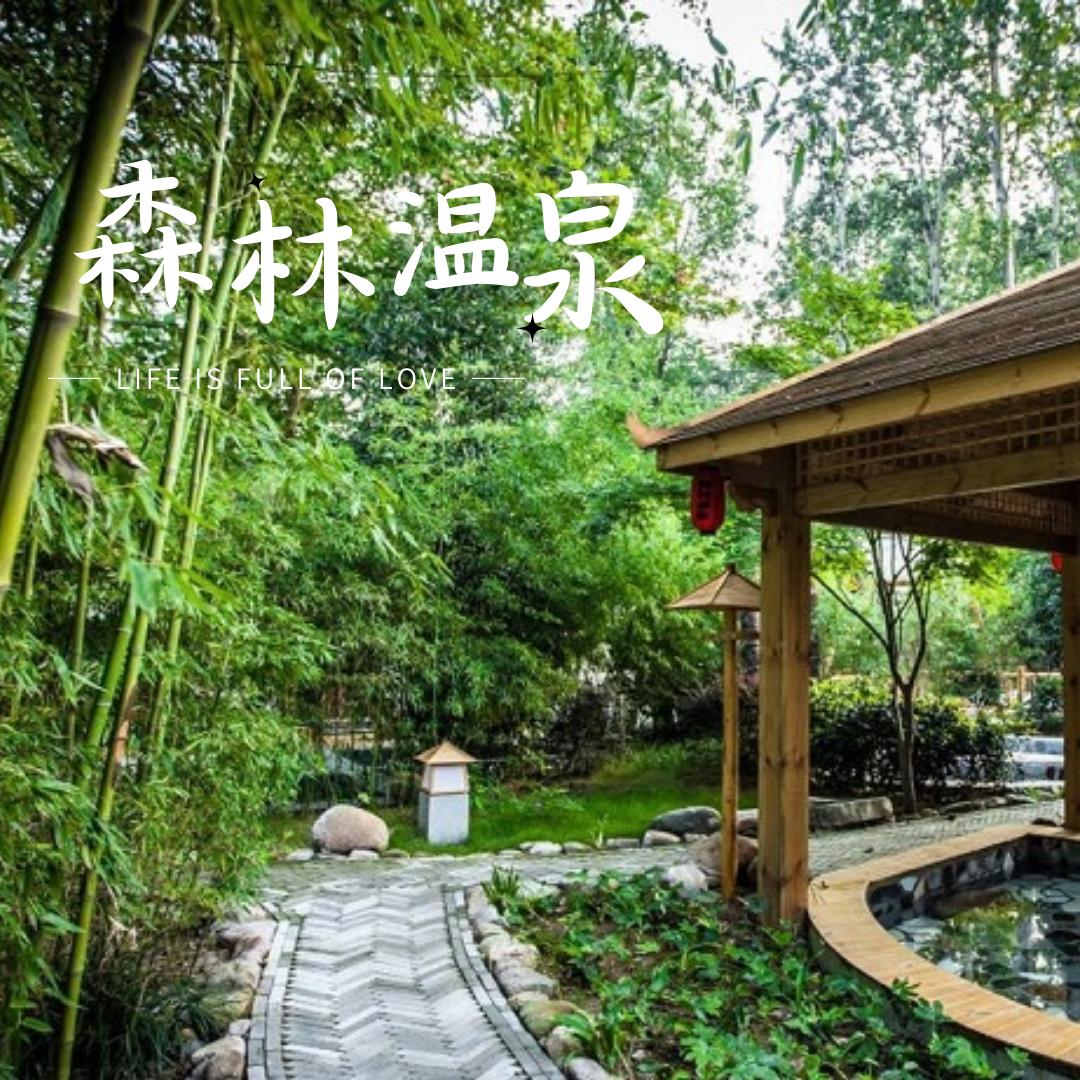 昭平湖森林温泉度假区