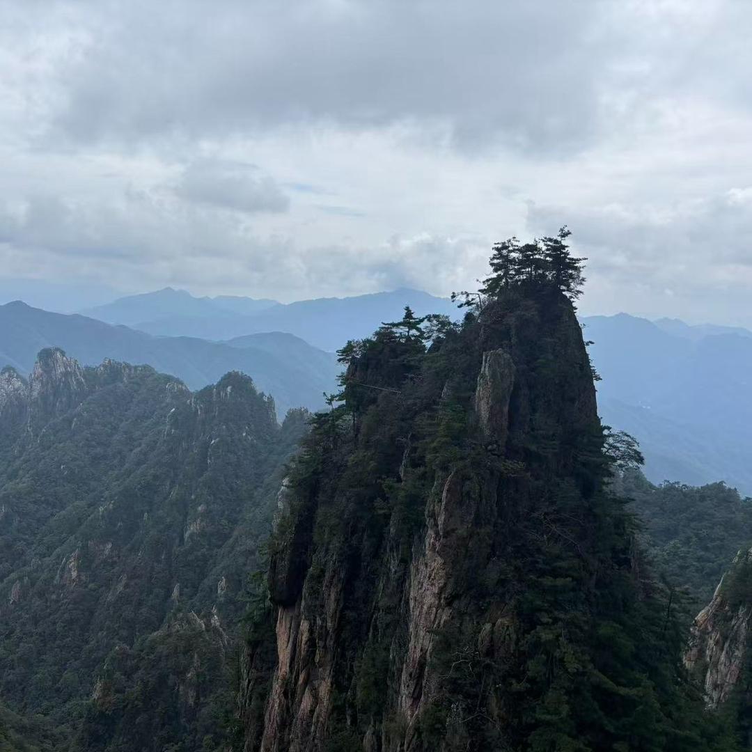 爱尚宝贝宠粉号