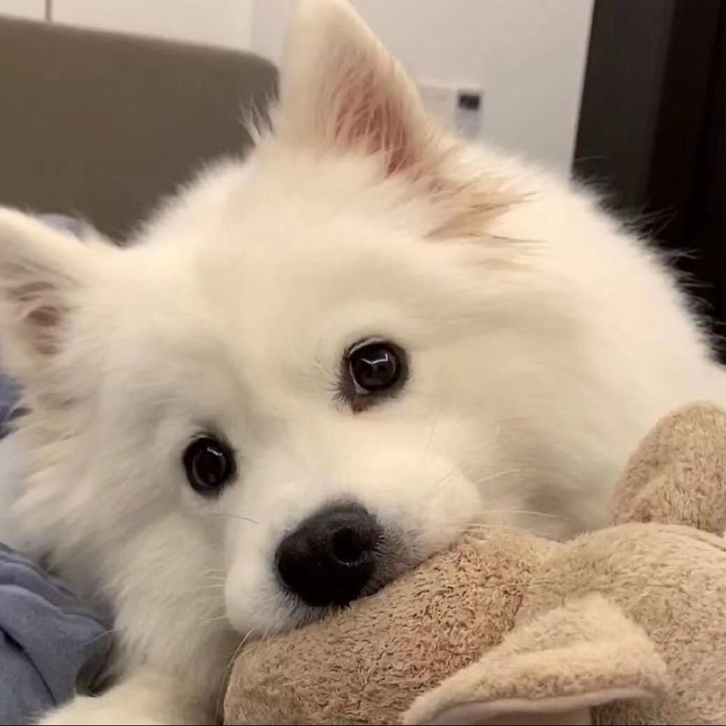 苏宁帮客社区帮