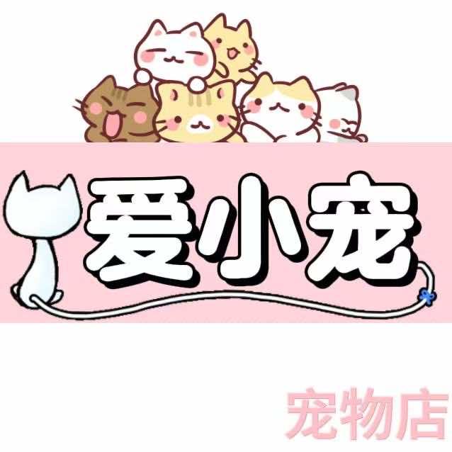 爱小宠宠物店