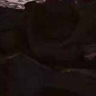 注销(光明宏锐)