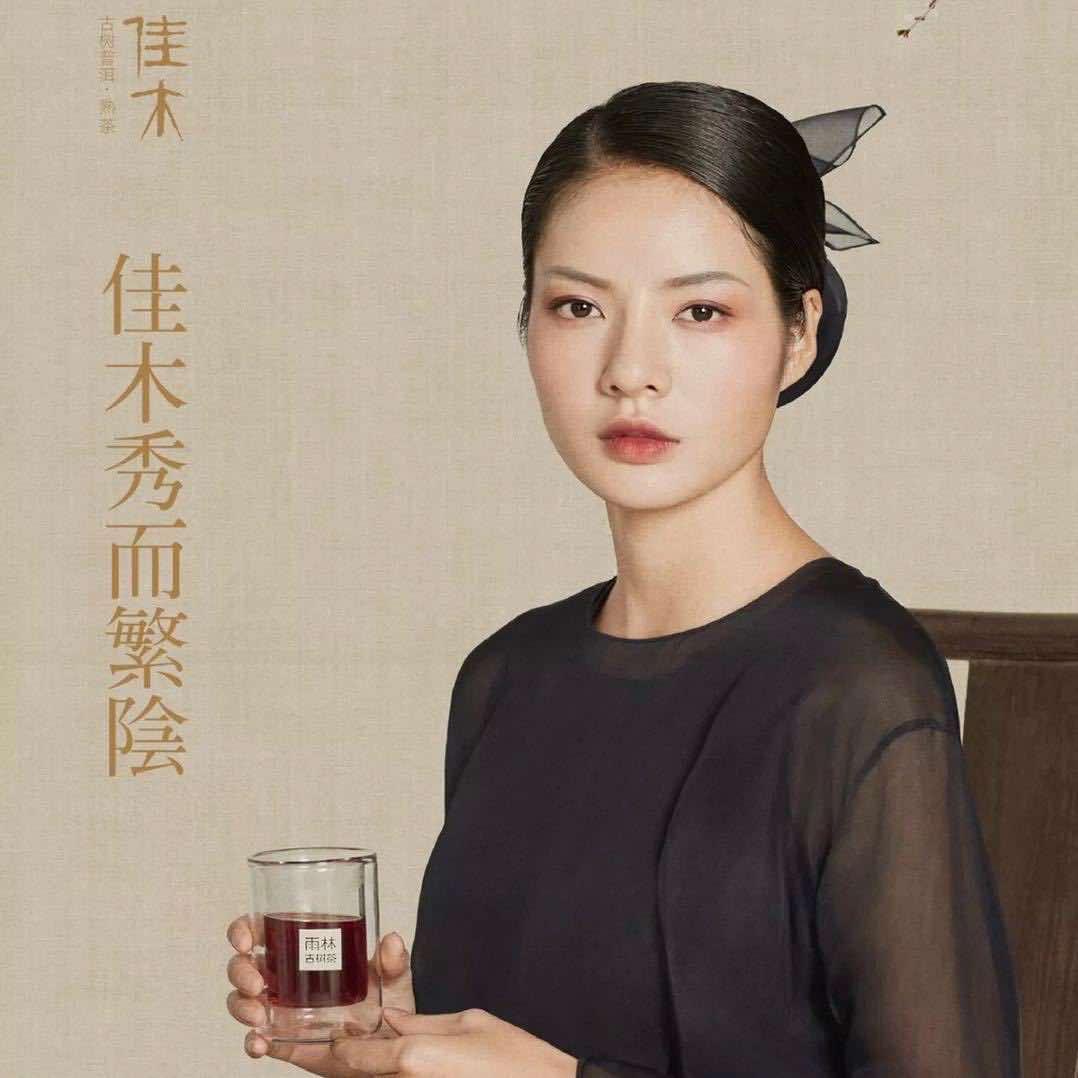 泠惠山｜雨林古树茶