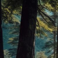 百润百货超市百润百货ff的直播号