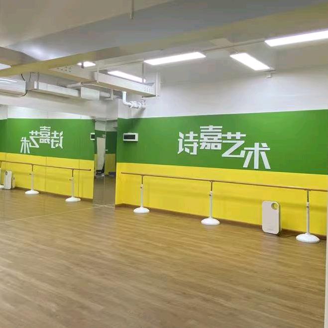 诗嘉艺术培训中心官方号