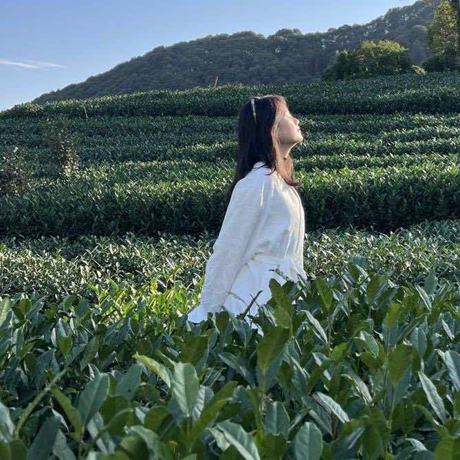 斯斯住在彩虹岛