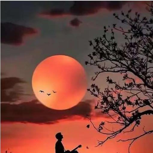 北京康佳影商店官方号