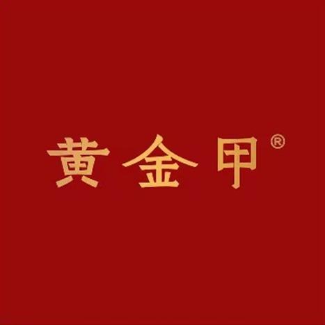 黄金甲加工定制（全国总店）