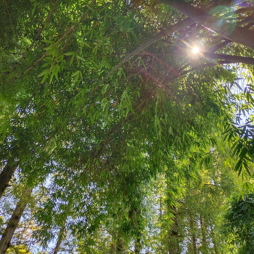 脚王宽宽KFT脚王儿童(花溪童鞋一店)