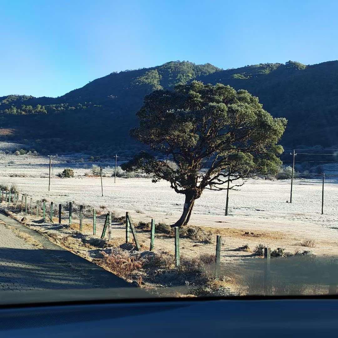 青韵酒业