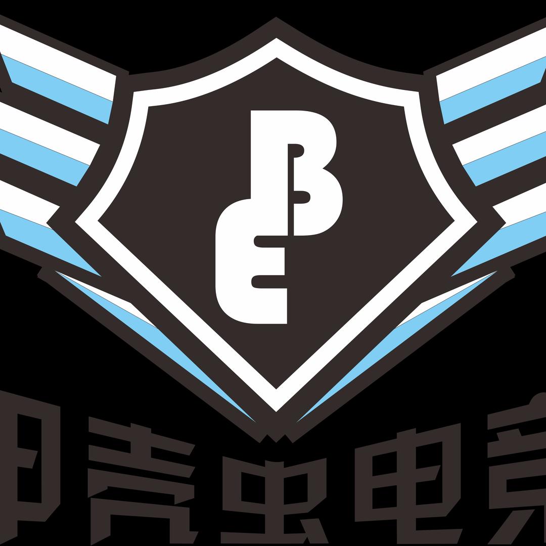 甲壳虫电竞(复州大道店)官方号