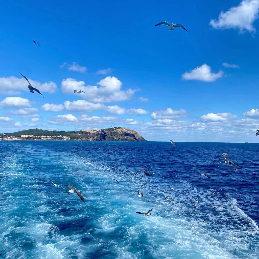 金莱推广直播号