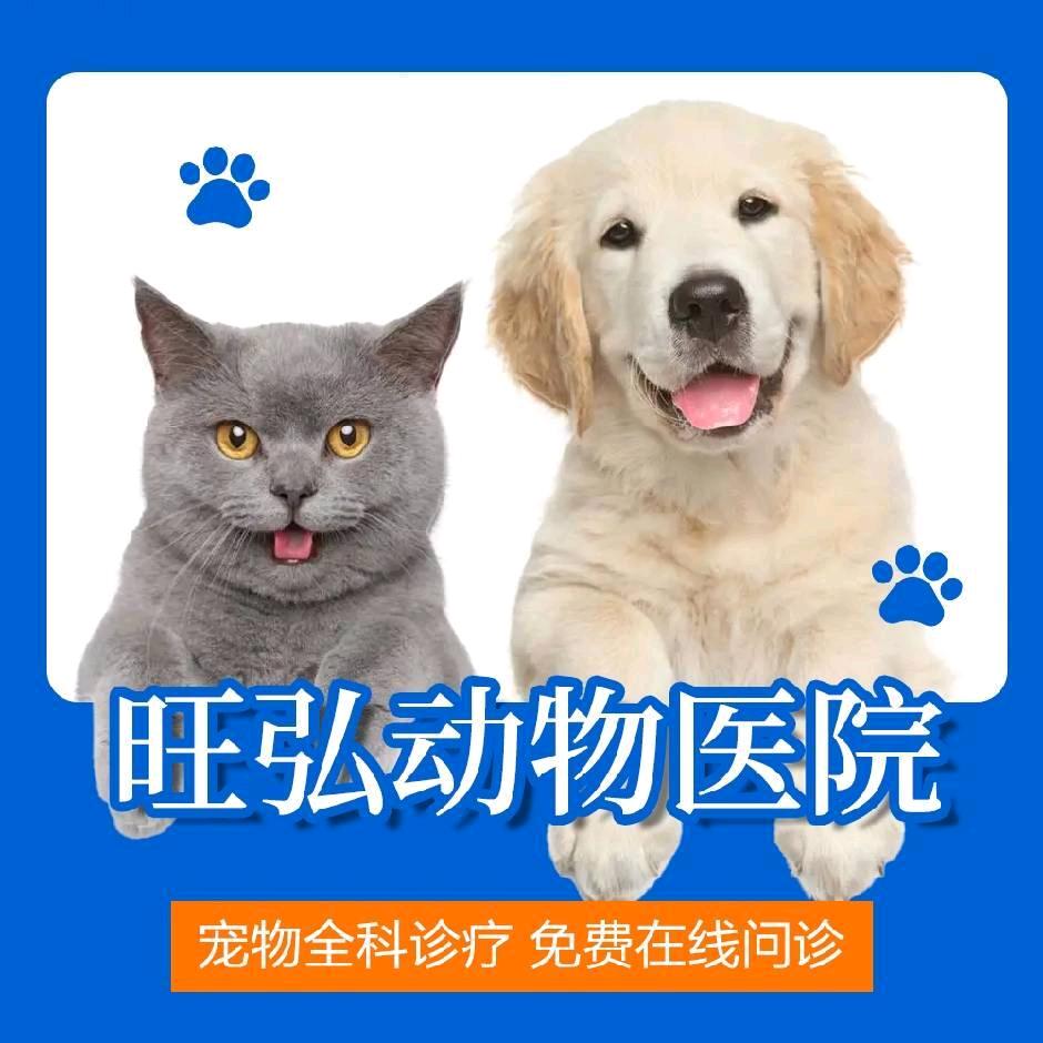 旺弘动物医院