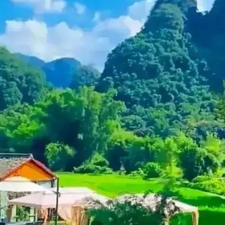 启年艾面筷捞红烧牛肉面