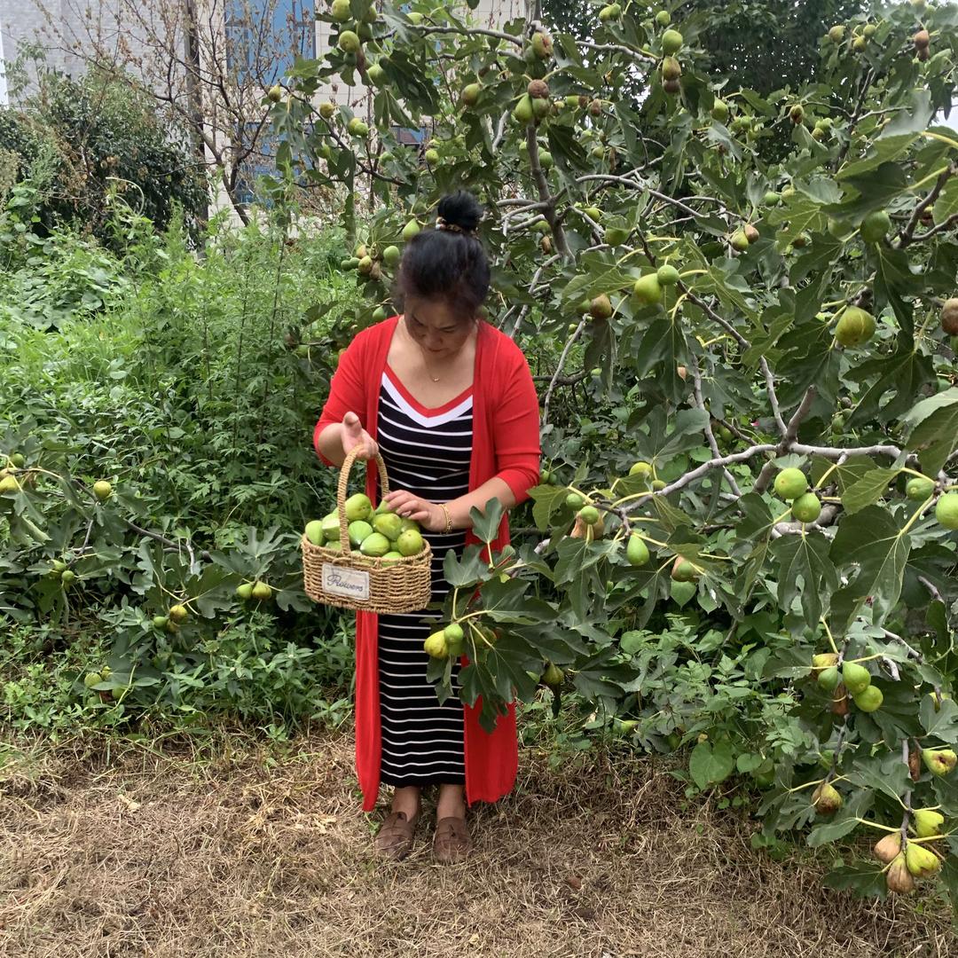清真. 牛小妖干锅牛肉