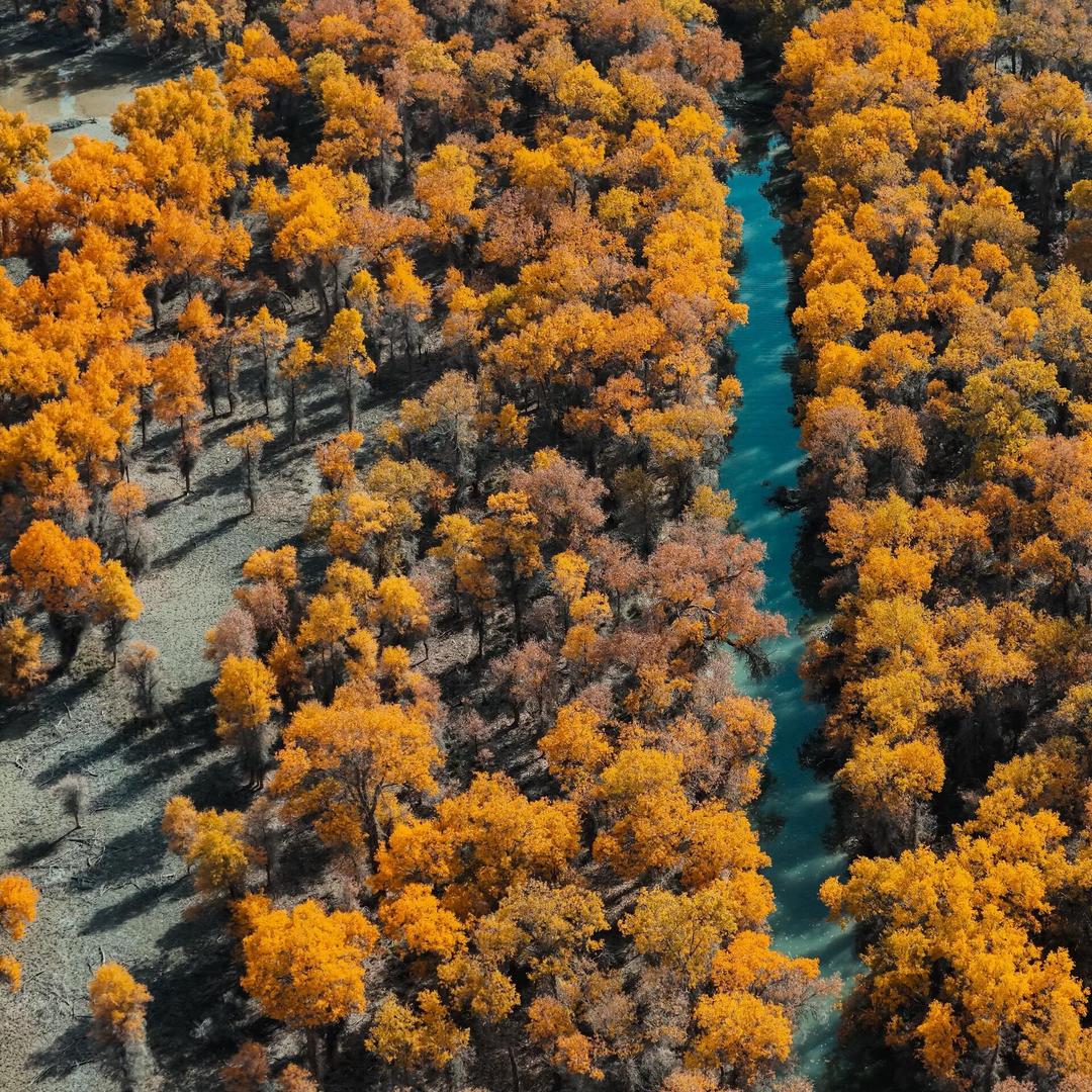 和田市艺龙万国酒店官方号