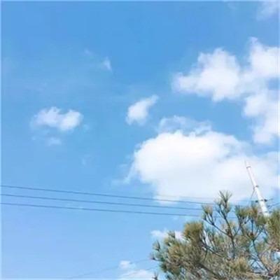宿州市埇桥区美丽熊美容店