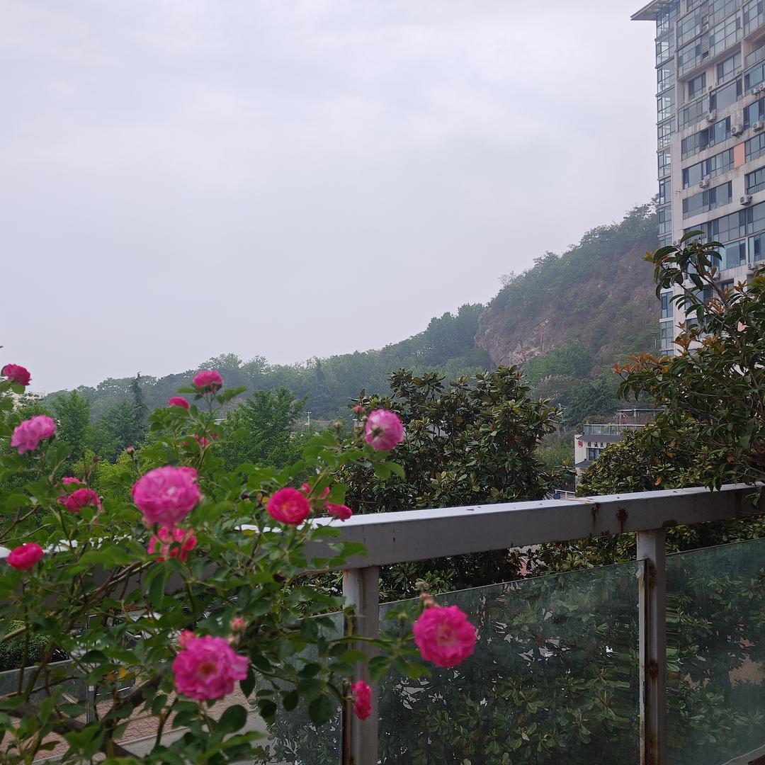 隽翎|安居里直播号