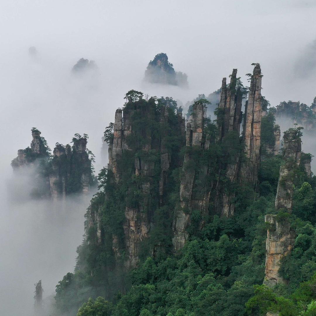 wlyyouxuan