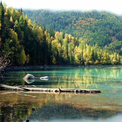 西山区泰旭商贸