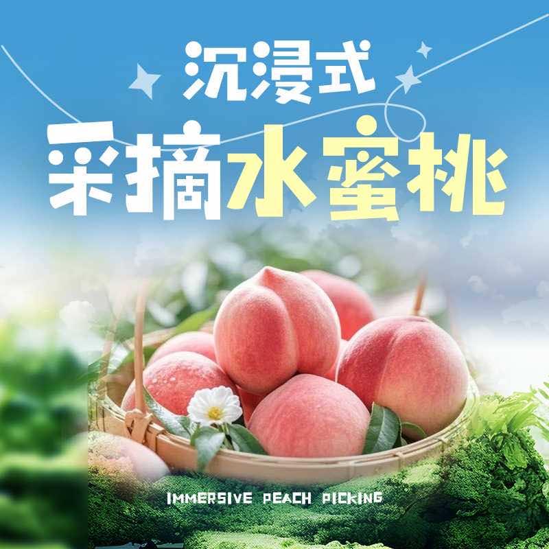 龙泉山桃源山庄