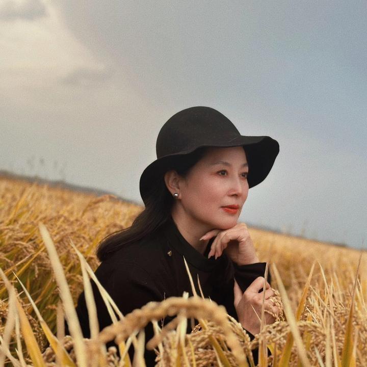 涵夏三号