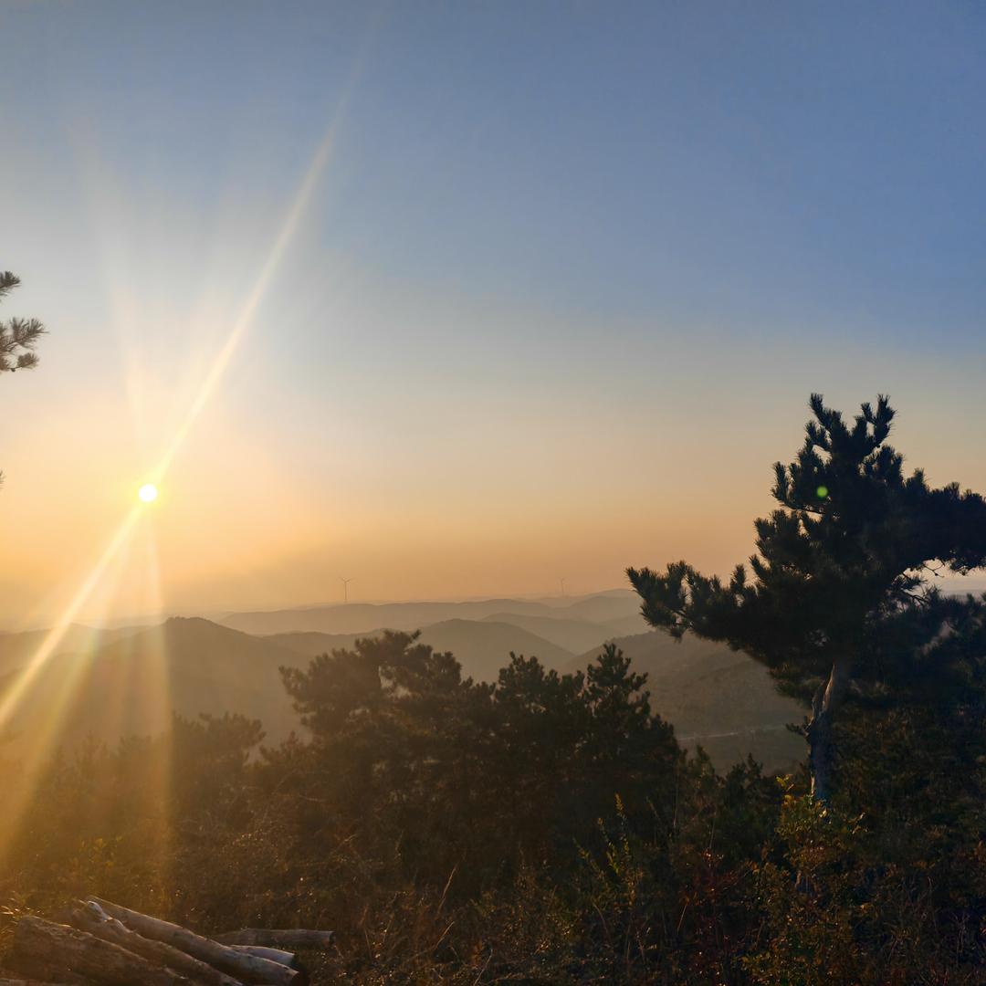 丹尼斯(置地大道店)程