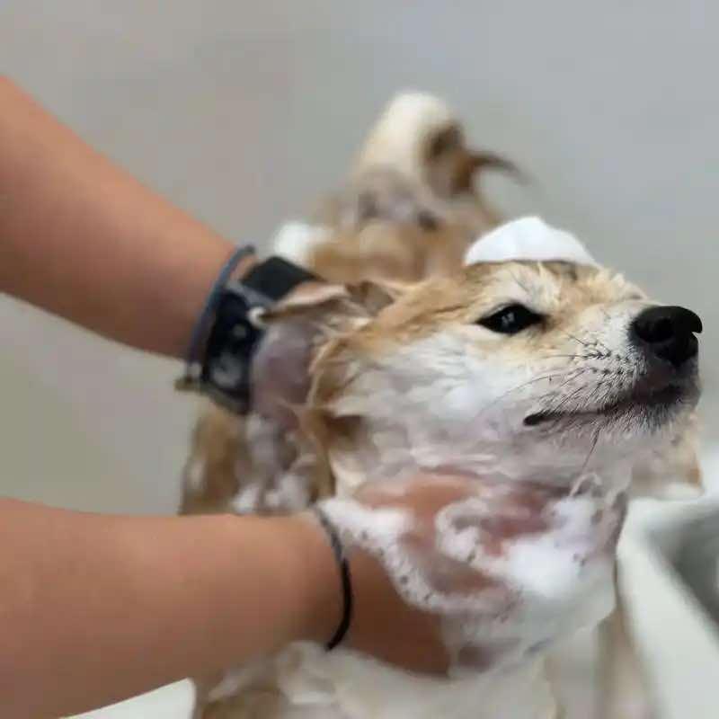 宠舍生活馆
