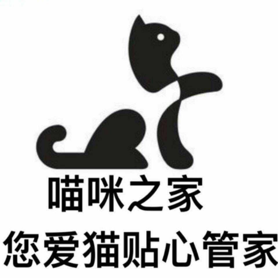 南明区喵咪之家宠物店